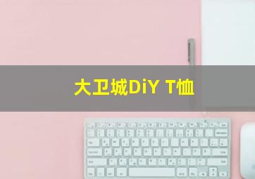 大卫城DiY T恤